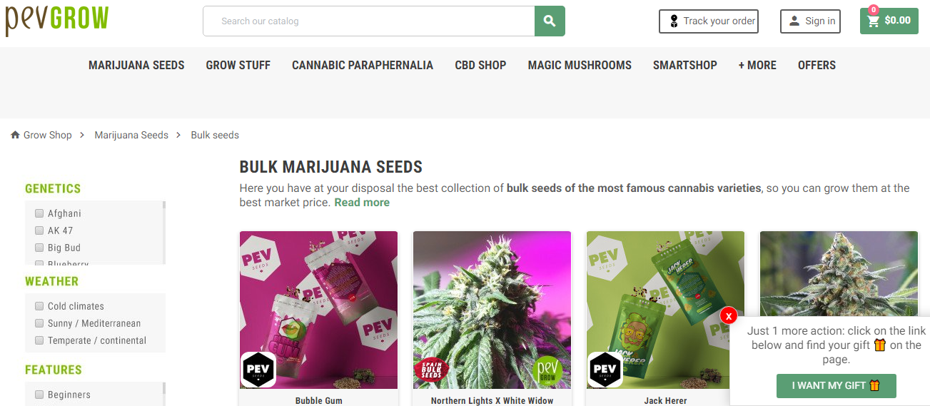 10 Best Places To Buy Marijuana Seeds In Bulk Online Pev Grow