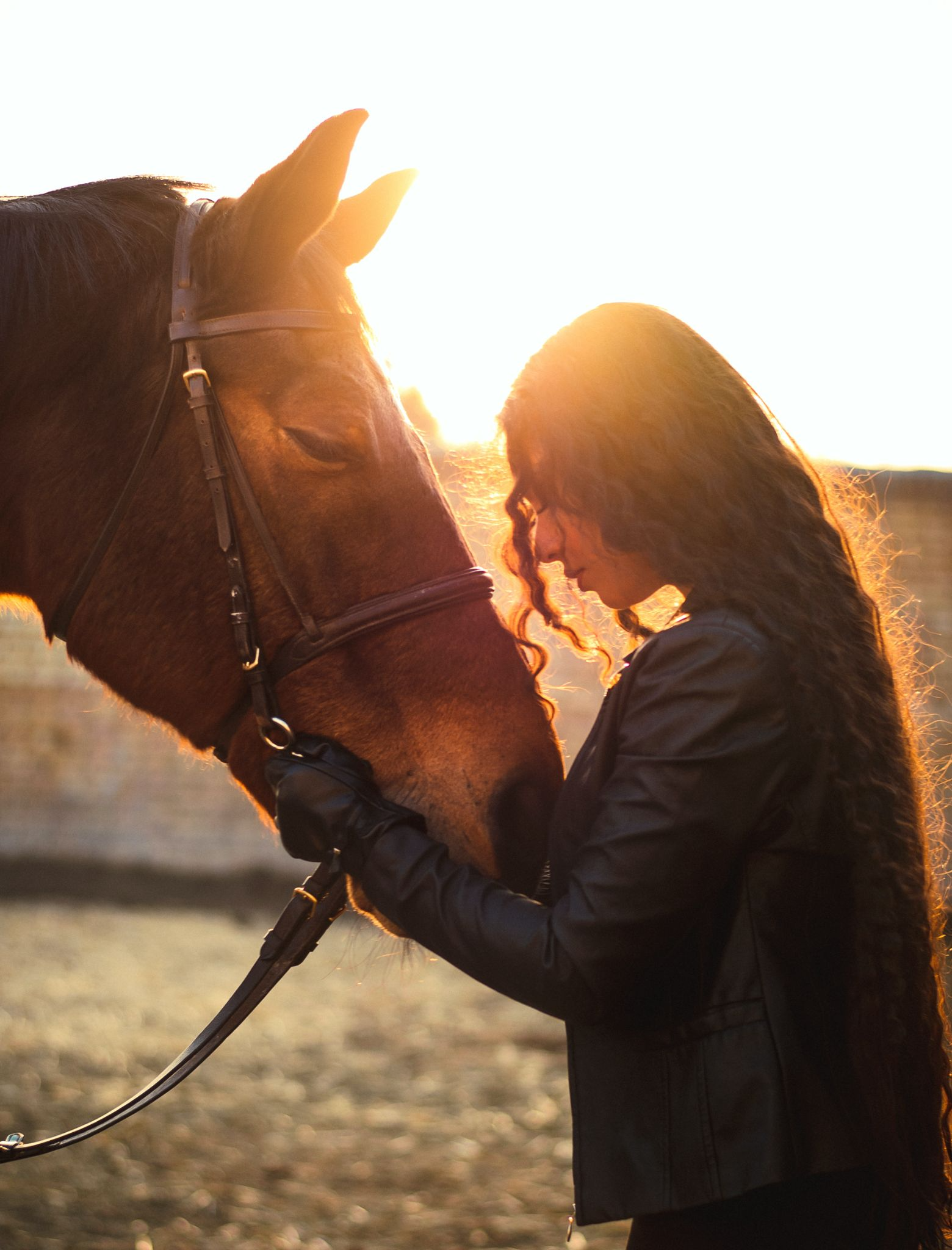 A woman and horse stare face-to-face with each other with the sunset in the background