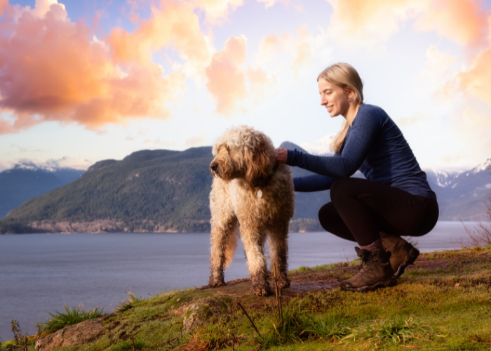 10 Best Off Leash Dog Breeds (for Outdoor Adventures)