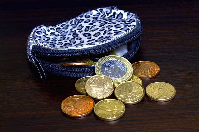 coin purse, little bag, handbag, all your monthly expenses, emergency savings fund, financial goals