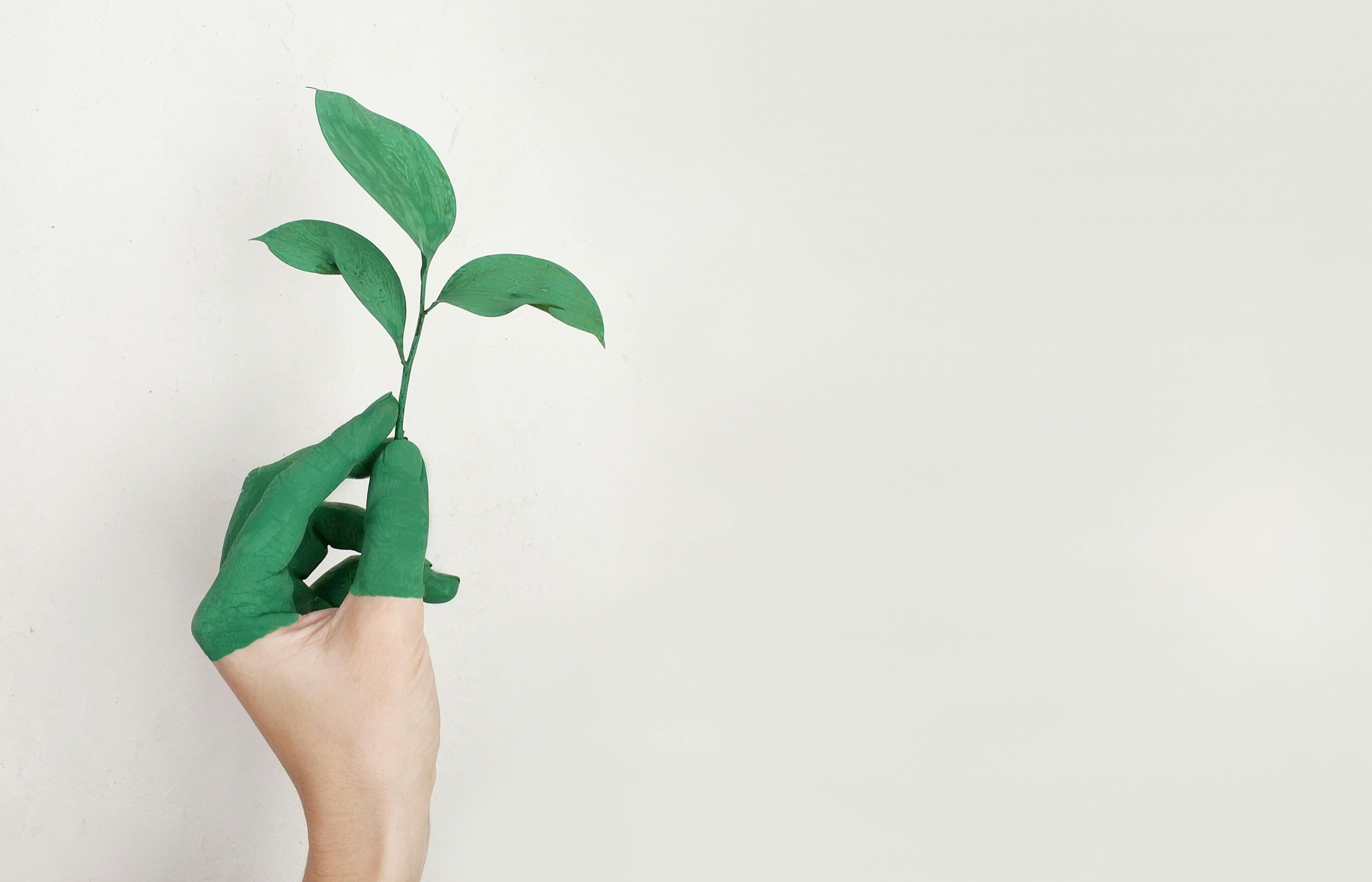 innovative and sustainable refrigeration technology showcasing energy-efficient heat pumps.