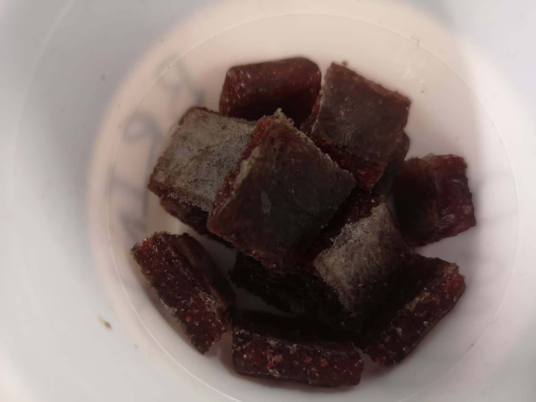 frozen bloodworms