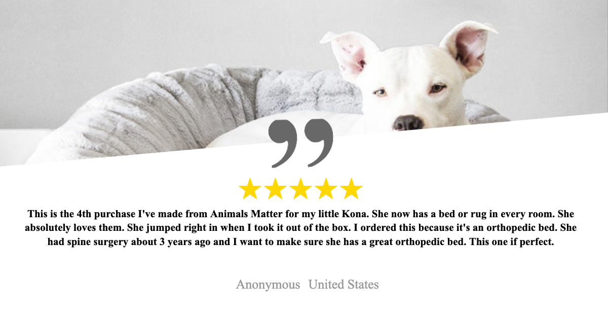 An Animals Matter Review of the calming dog bed.
