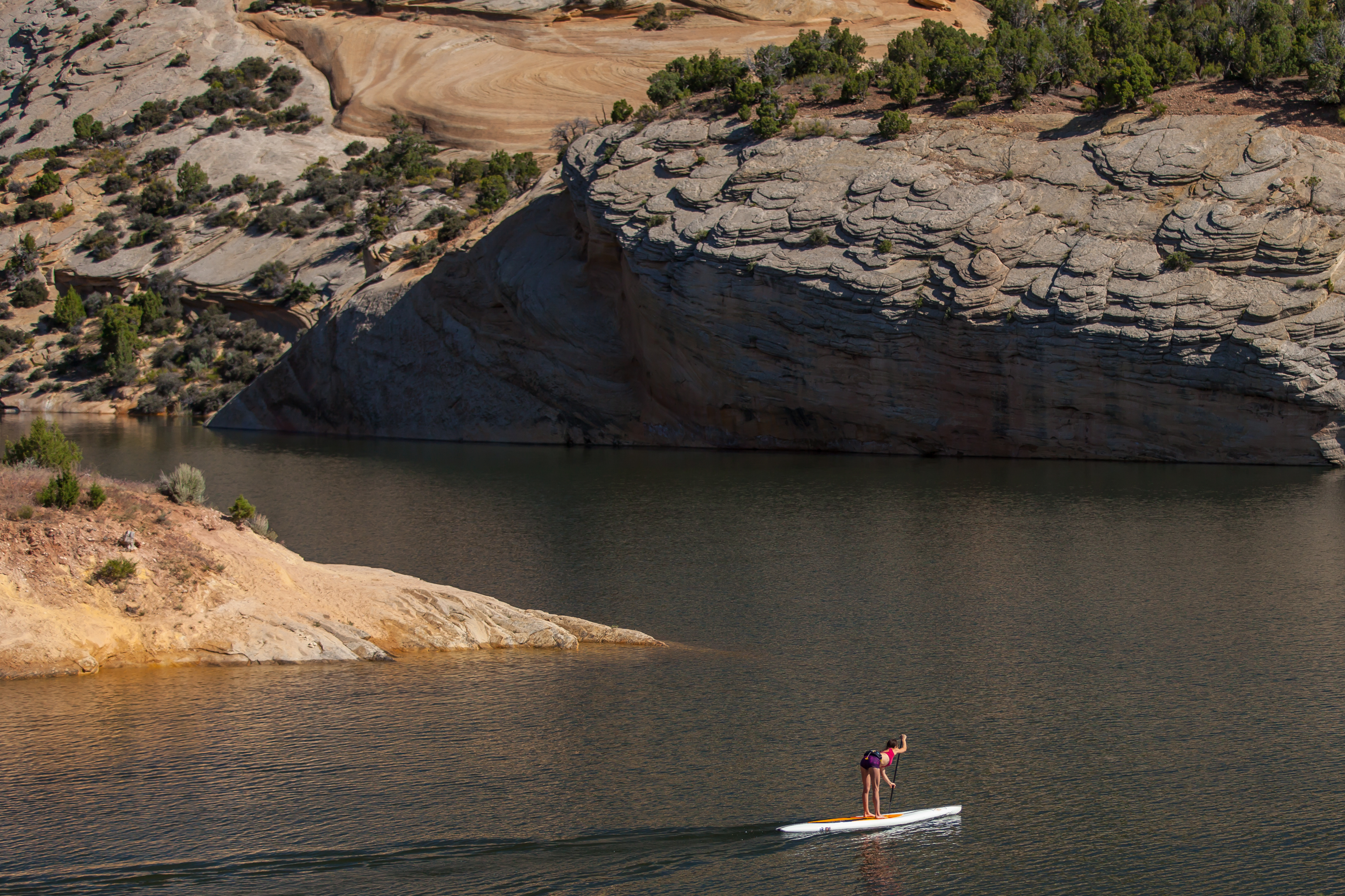 racing paddle board