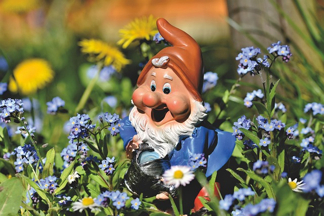 garden gnome, dwarf, figure