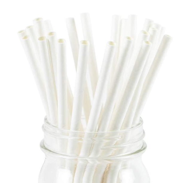 Bamboo Paper Straws Vs. White Paper Straws - Homestraw