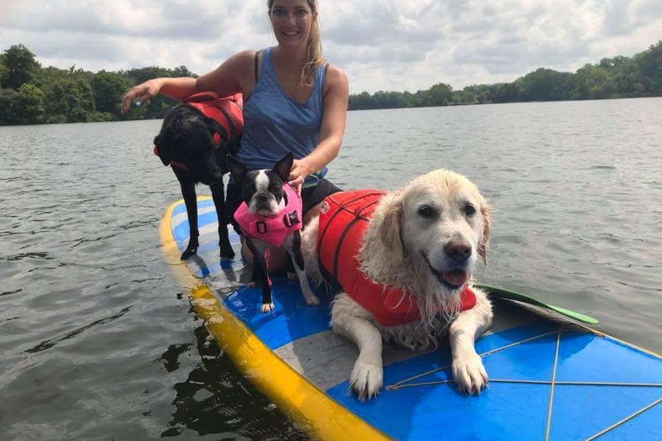 What is the best paddle board for dogs?