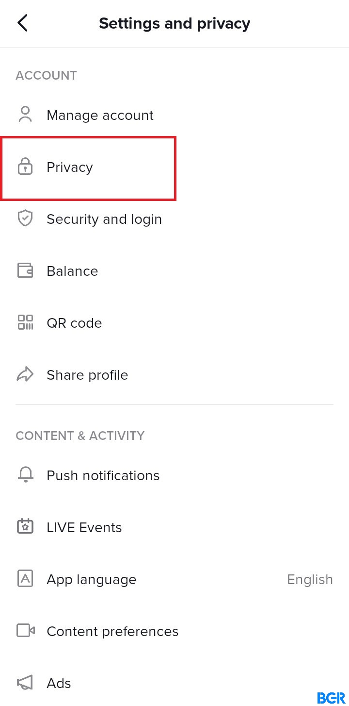 Privacy  to enable TikTok Profile view option