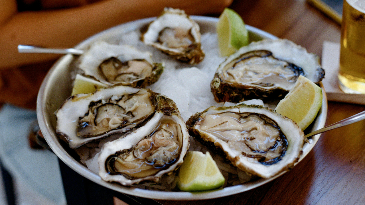 oysters