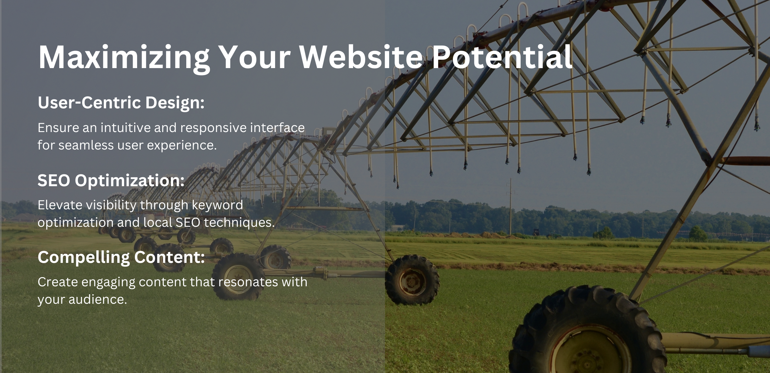 Maximizing Your Website Potential