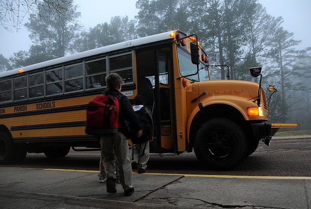 Traffic violation examples include getting a traffic ticket for passing a school bus