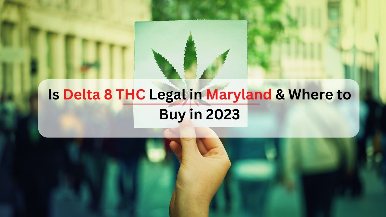 Is Delta 8 THC Legal in Maryland?