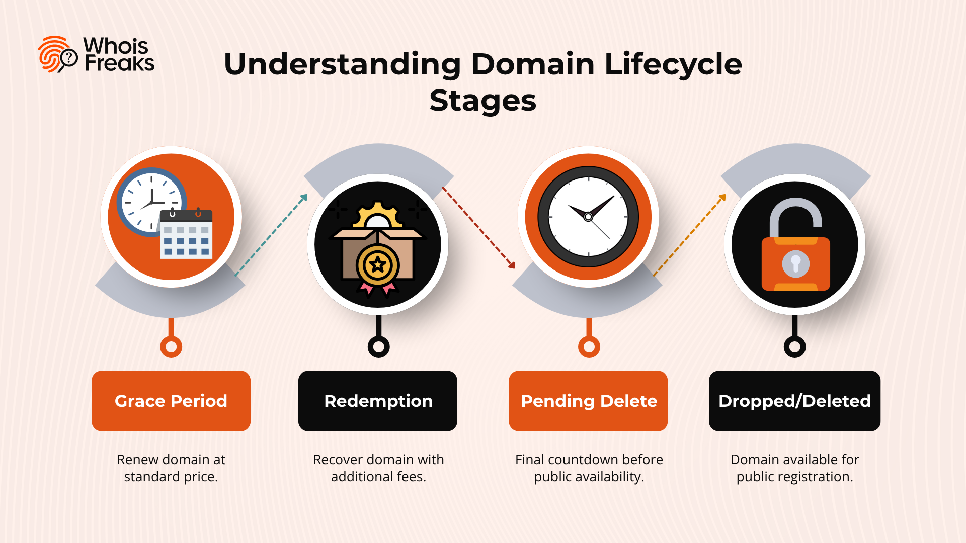 Understanding Domain Lifecycle Stages