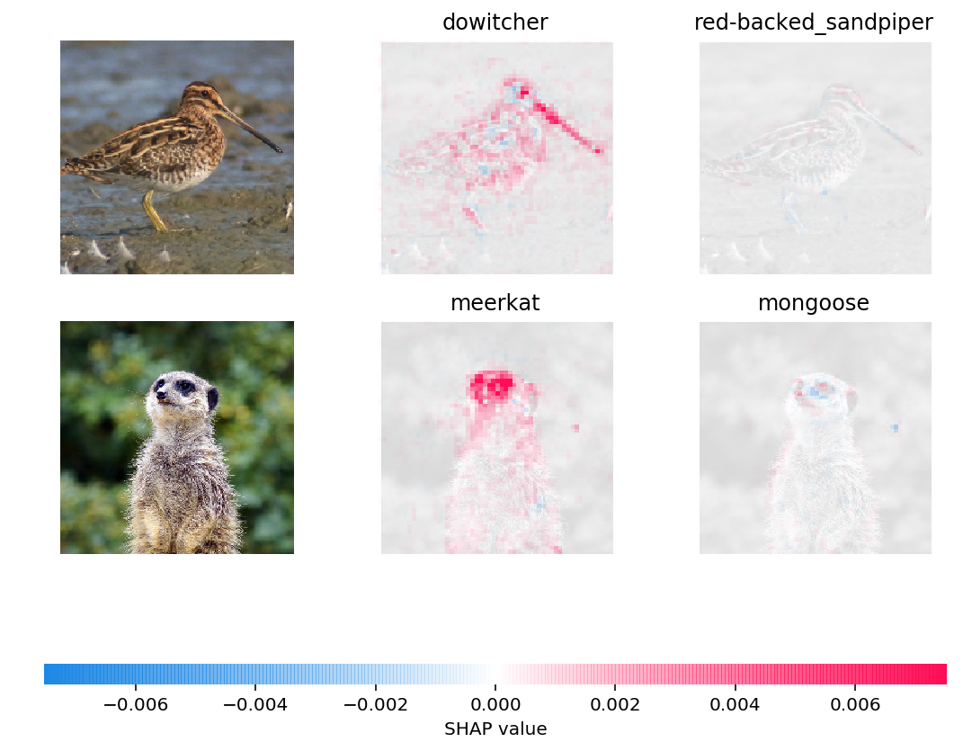 Keras Image Importance