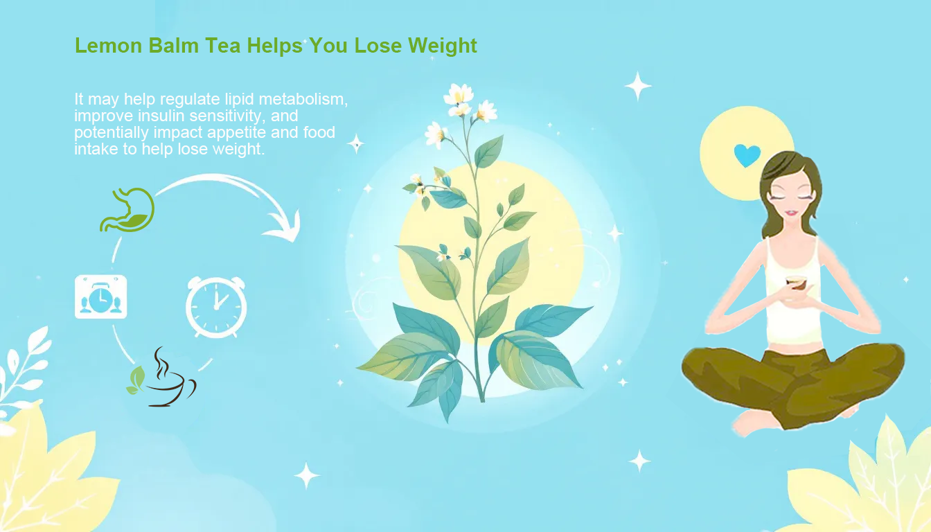 Lemon Balm Tea Helps You Lose Weight
