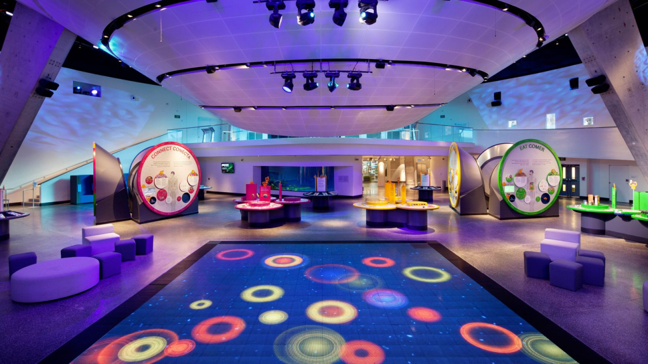 Kids Museums South Florida: 6 Museums for Kids in South Florida