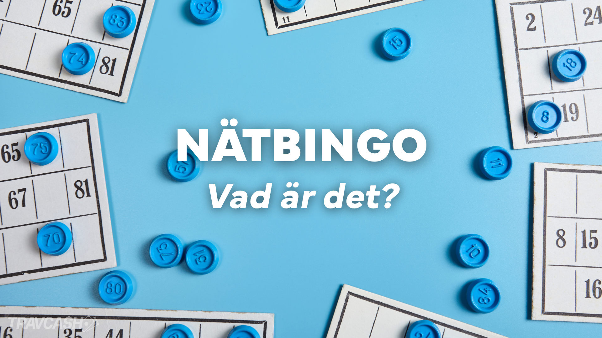 Vad är nätbingo egentligen? Travcash guidar