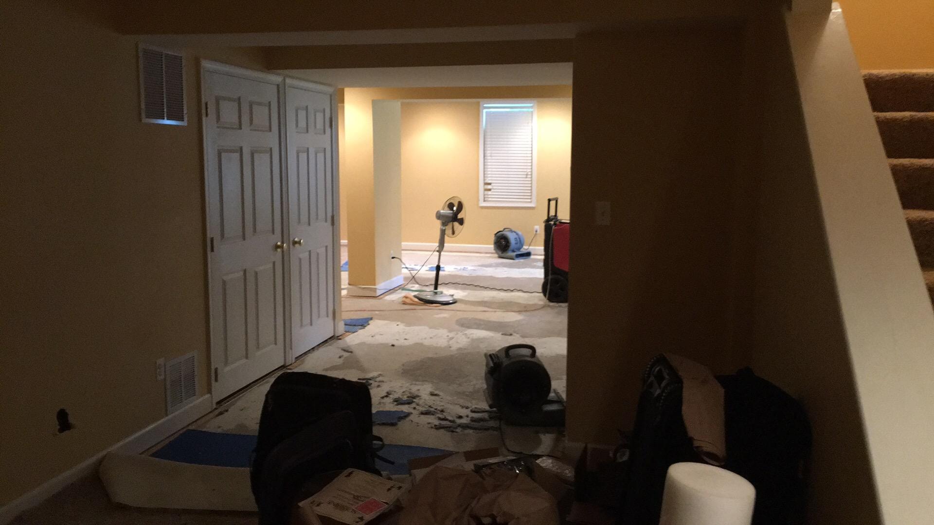 Mold cleanup Glen Burnie 