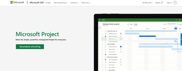 Microsoft Project for online project management