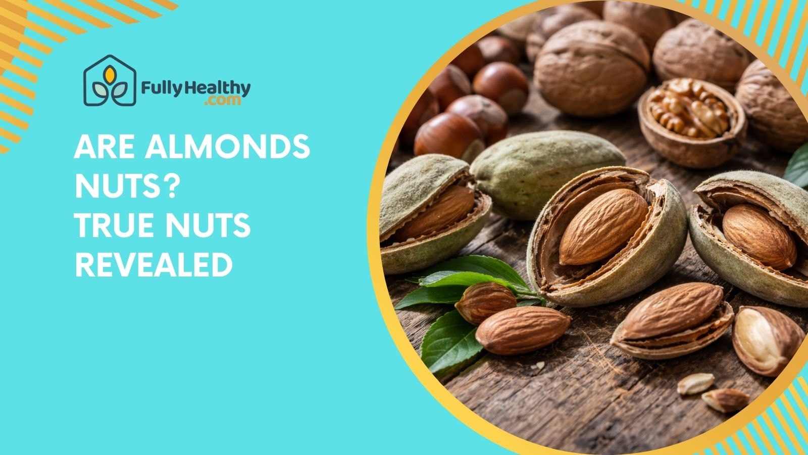 Are Almonds Nuts? True Nuts Revealed