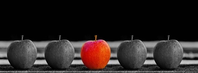 apple, fruit, selection