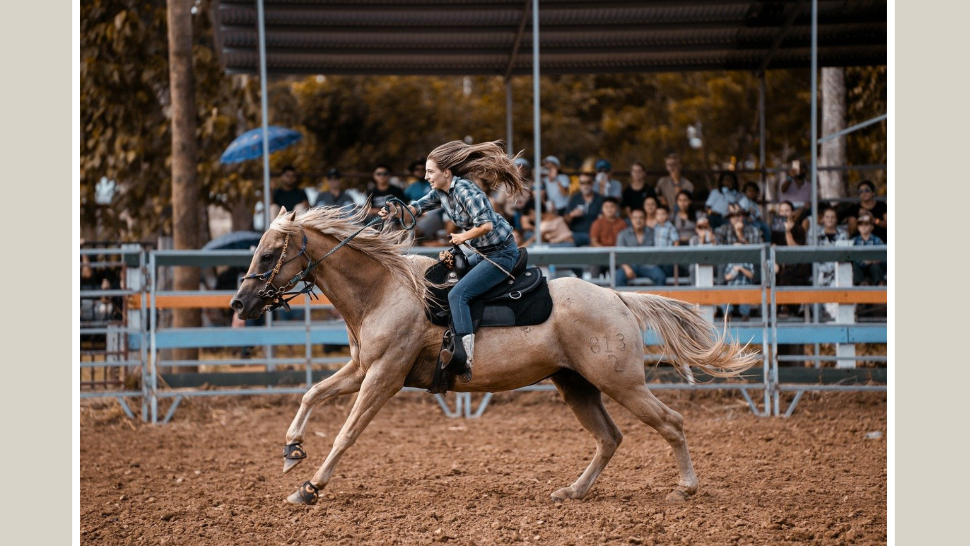 tips for naming your western hore.