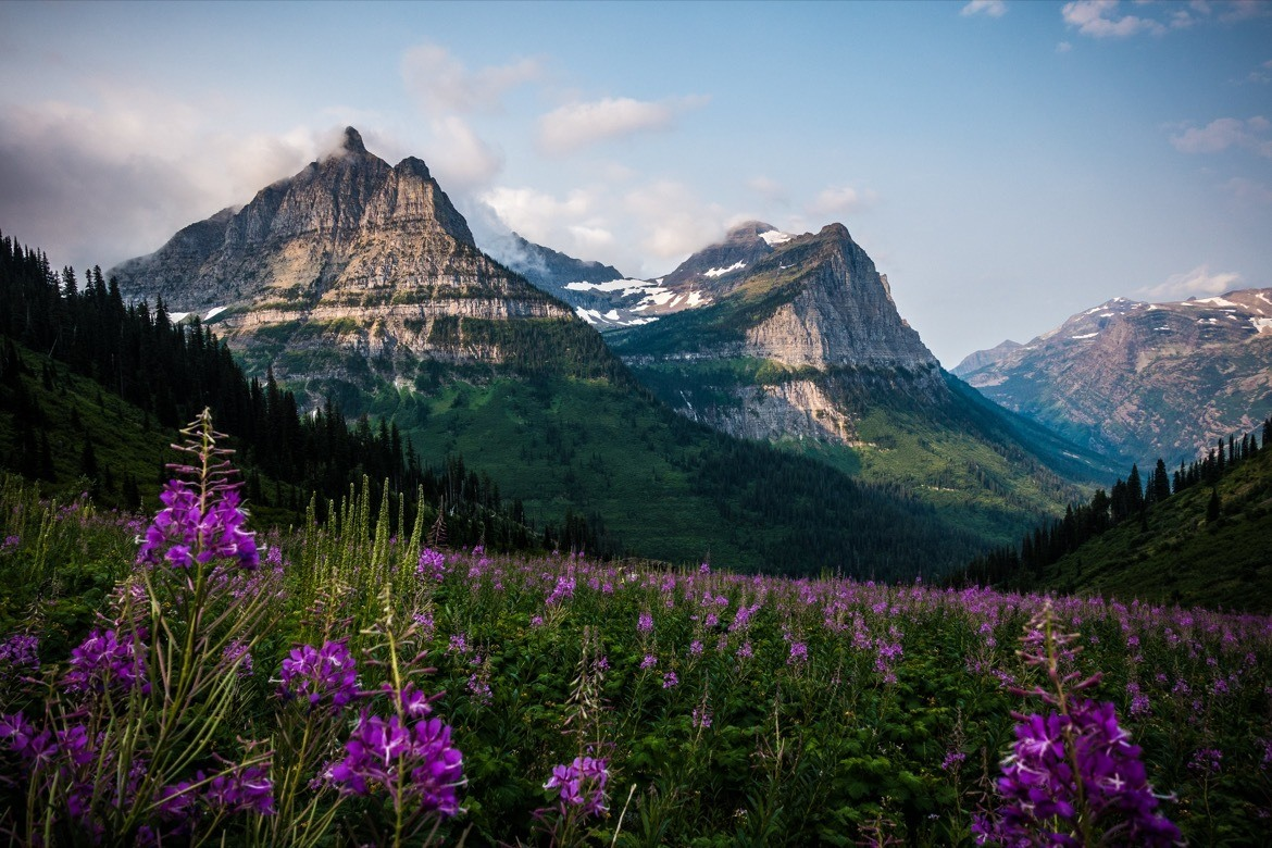 Mount Revelstoke National Park, British Columbia