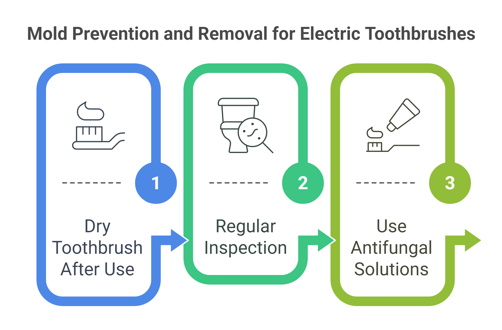 Mold Prevention and Removal