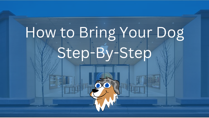 Image text: "How to Bring Your Dog to Apple Step-By-Step"
