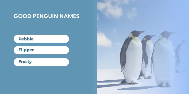 Good-Penguin-Names