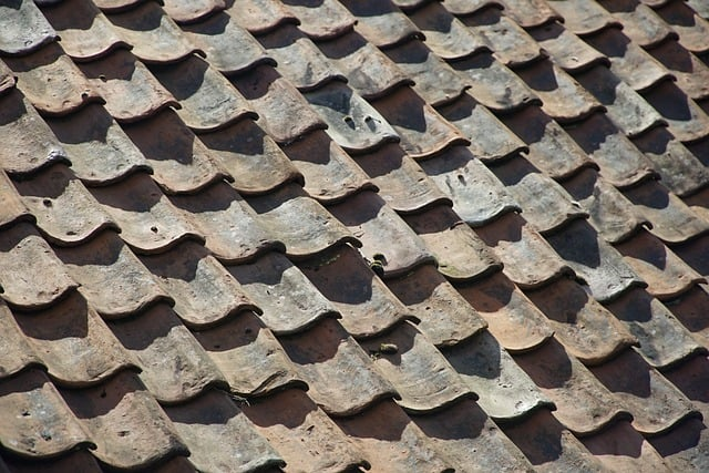 roof, roof tiles, pattern