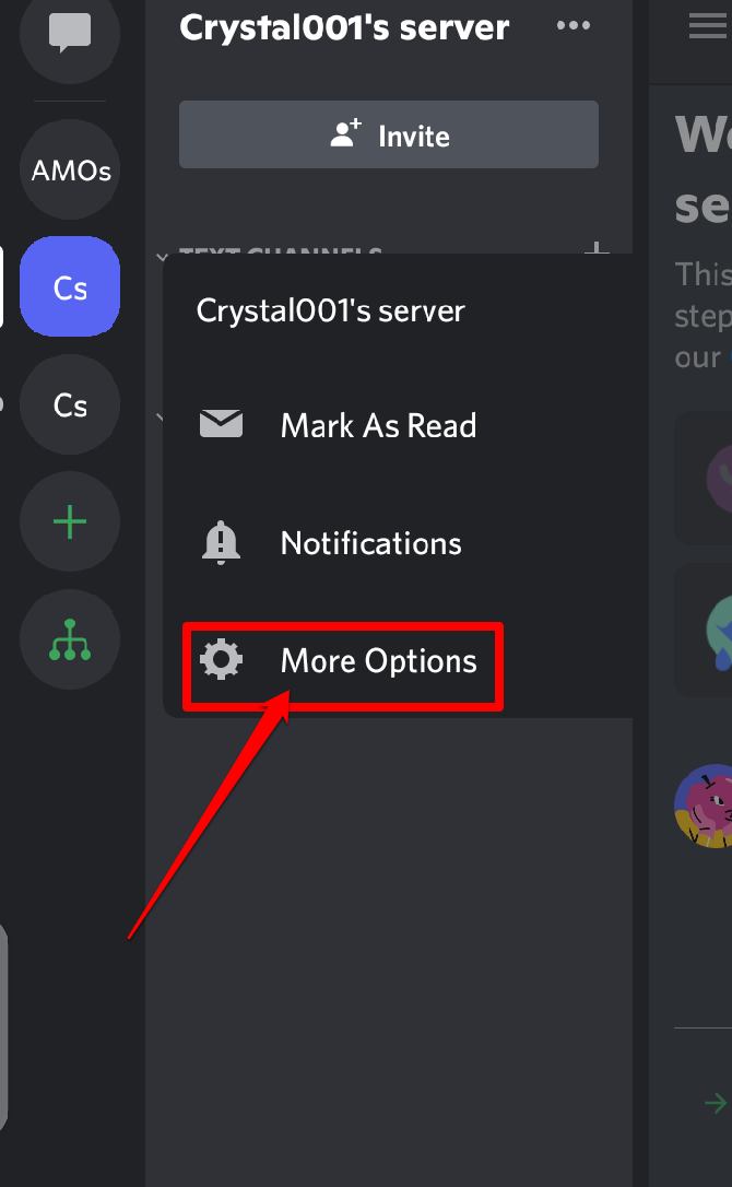 Picture describing how to locate your server setting on Discord mobile