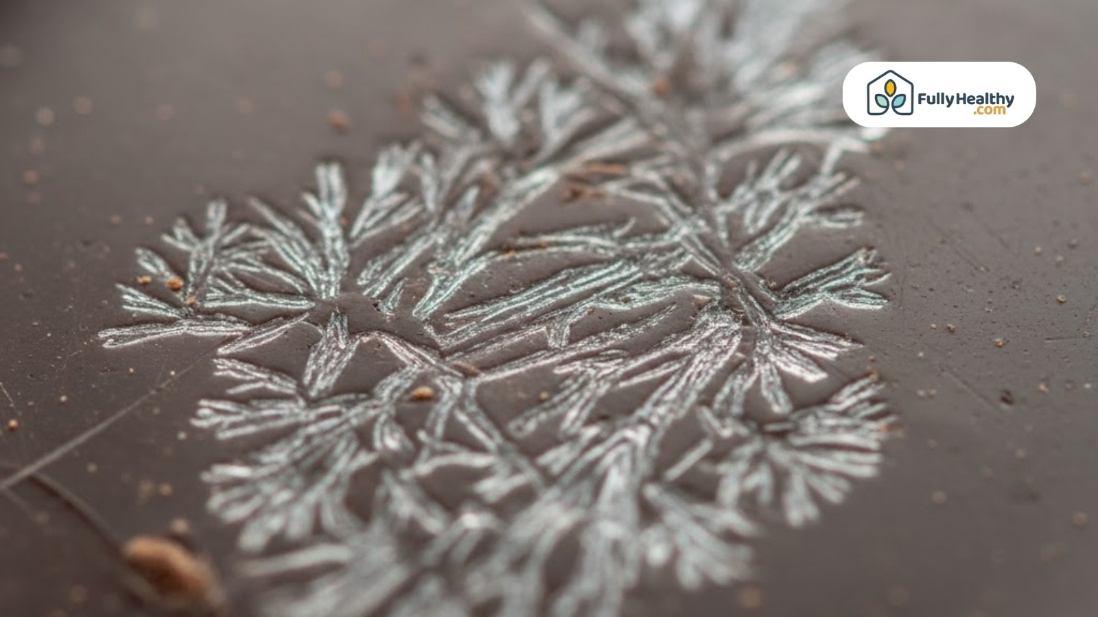 Close-up of chocolate bar surface showing white crystal bloom in branch-like pattern