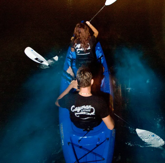 Indian River Lagoon Florida Bioluminescence