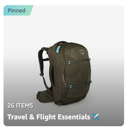 travel and flight essentials 