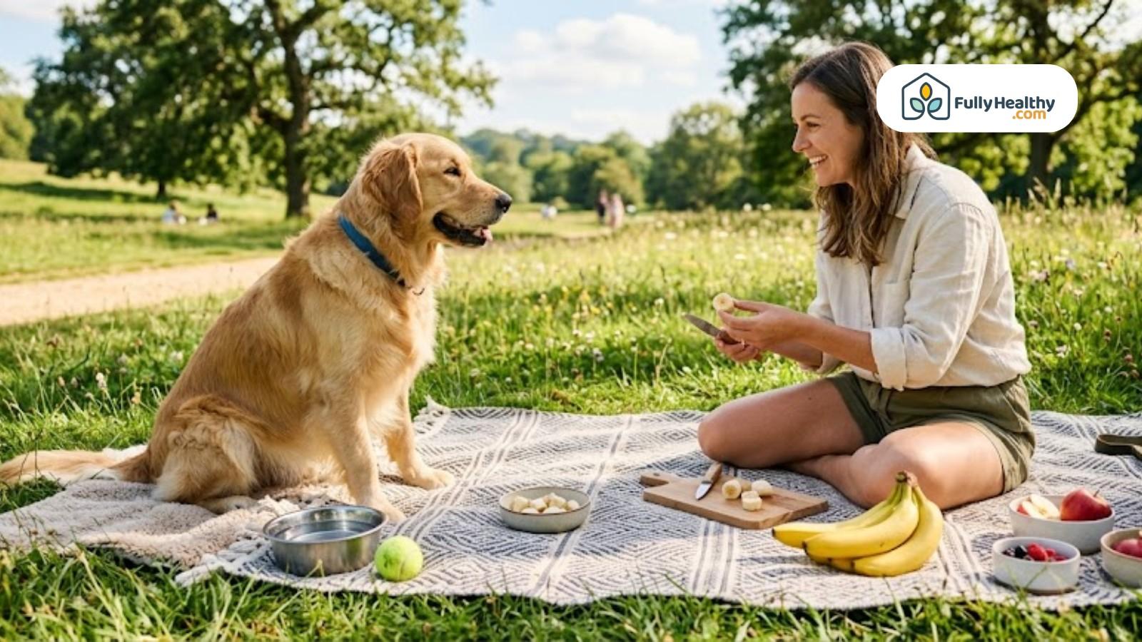 Woman feeding banana slices to dog during picnic in sunny park