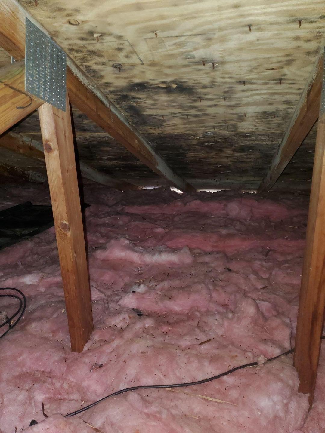 removal of mold in attic owings mills maryland 