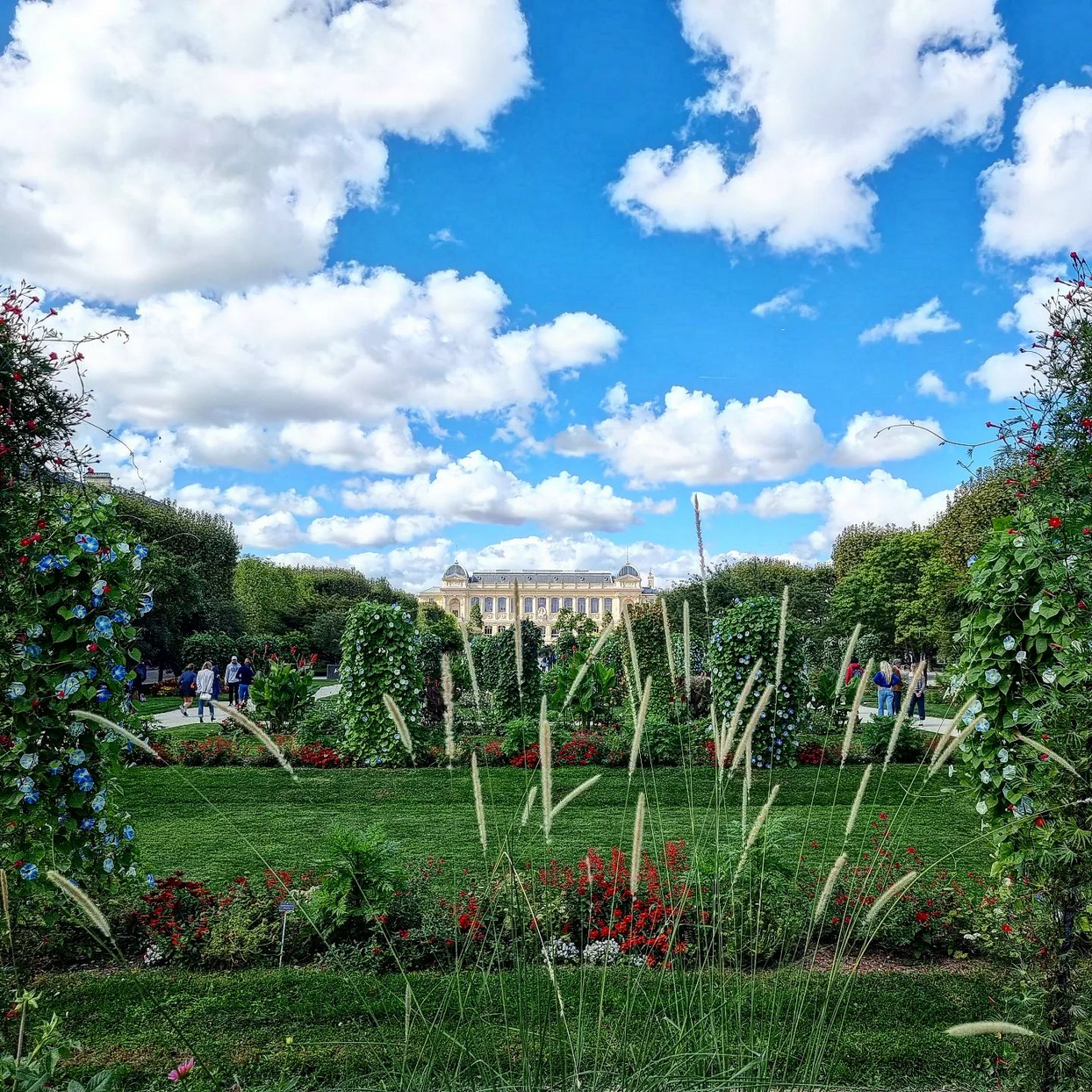 jardin des plantes in paris 