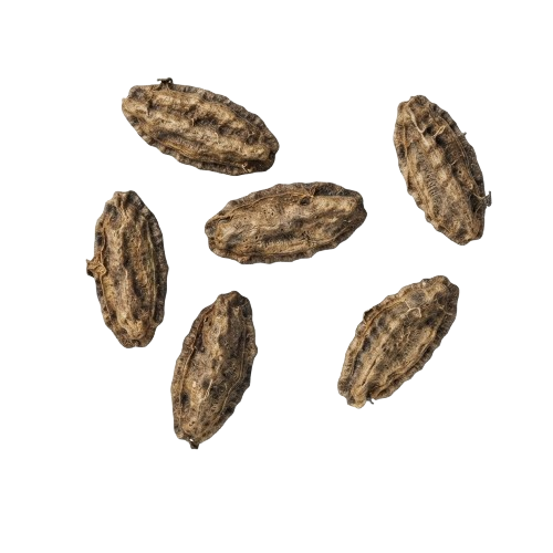 carrot seeds valheim