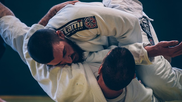 brazilian jiu-jitsu, bjj, fight