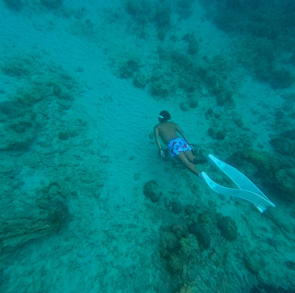 Diving in Palawan