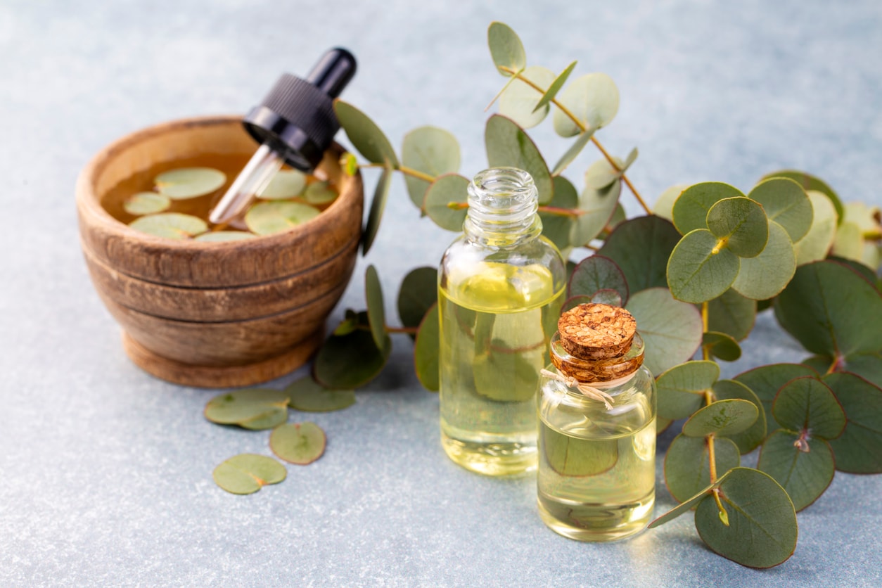 Eucalyptus essential oil in glass bottles with fresh eucalyptus leaves and dropper, natural aromatherapy and herbal skincare concept