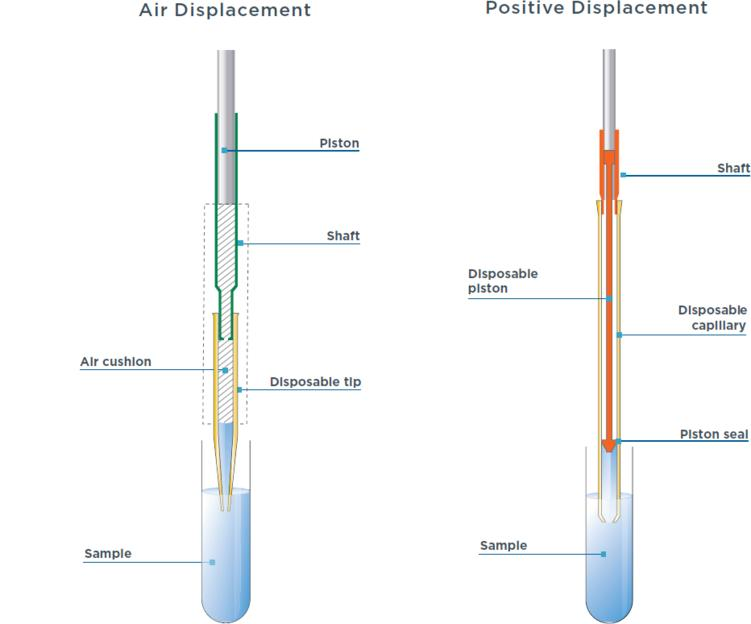 Guide To Pipettes: Functions, Types, And Usage Tips