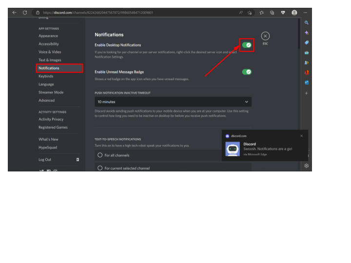 Screenshot showing how to enable Discord notifications.