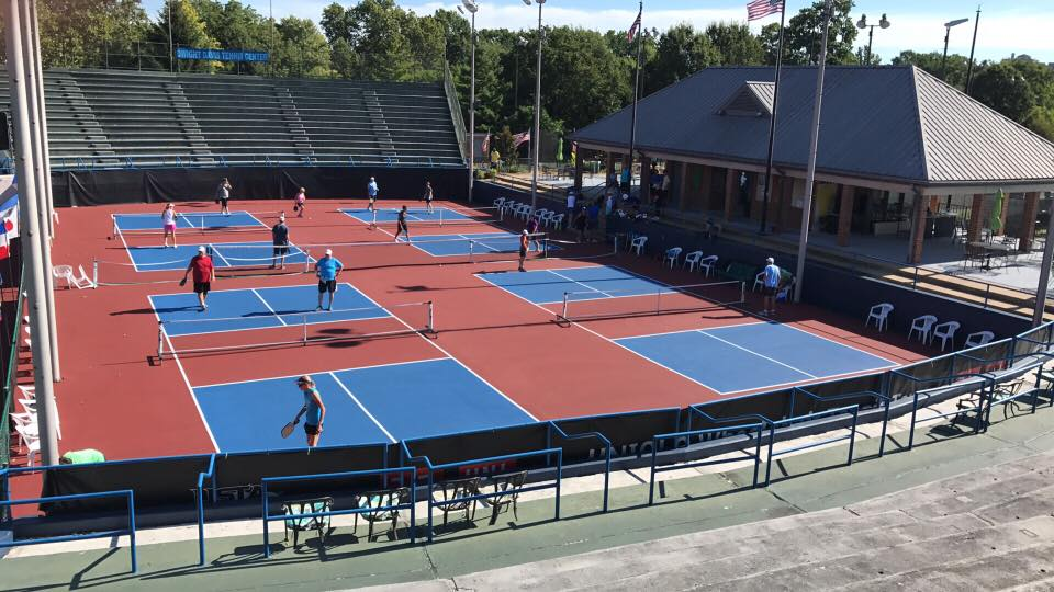 professional pickleball association