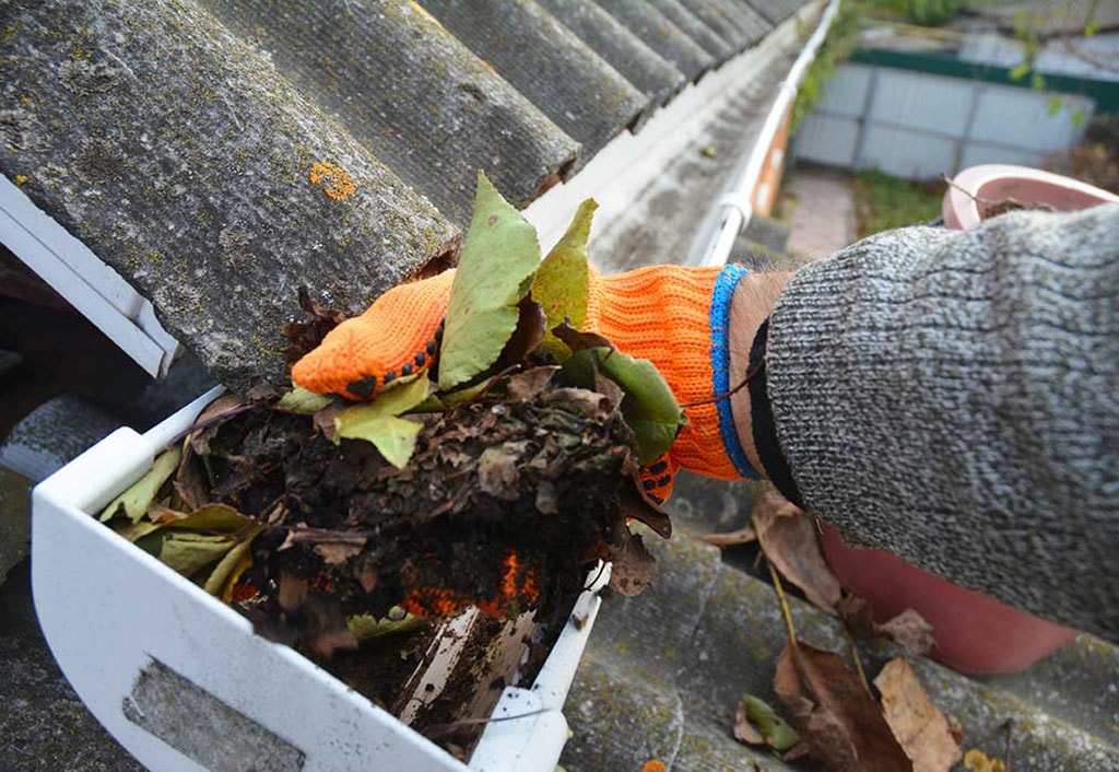 Step-by-Step Guide to Cleaning Gutters