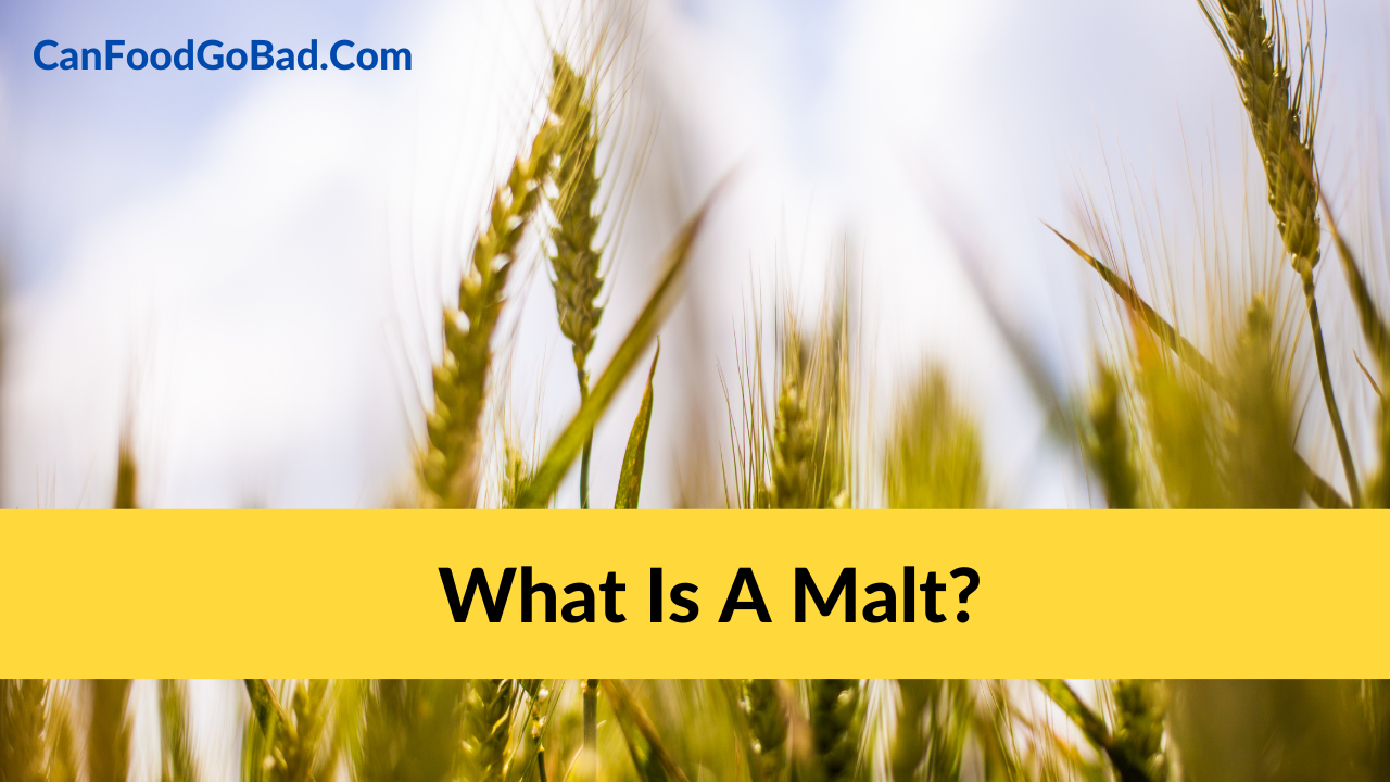 What Is A Malt