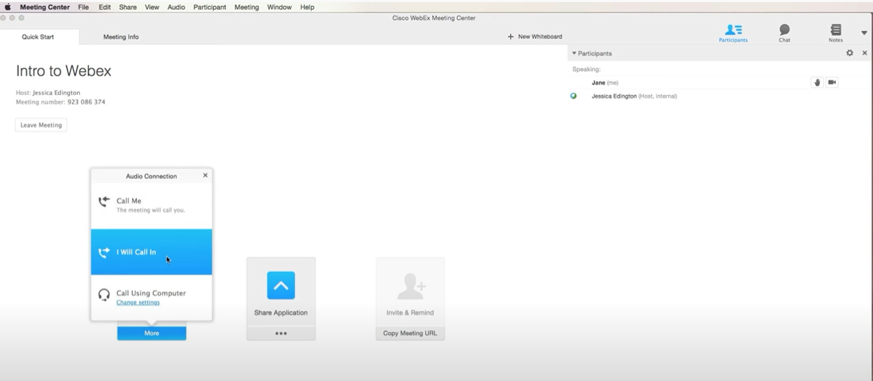 Webex audio connection