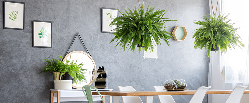Photo frames, shelves, mirrors and hanging pot plants can all be used for a unique gallery wall. 