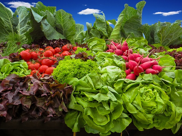 vegetables, tomatoes, radish